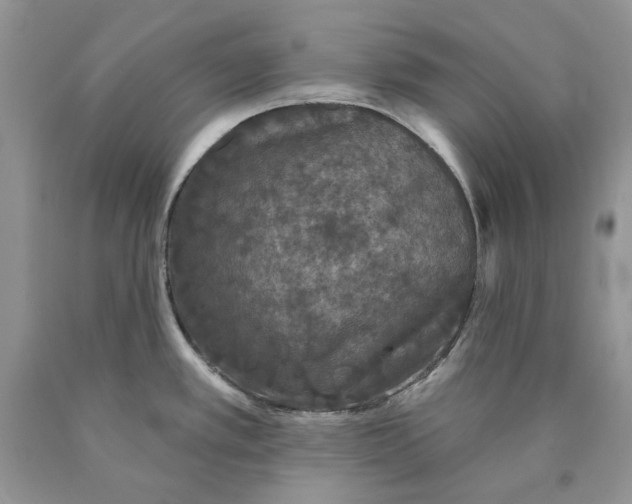 X0000089961389200707271852