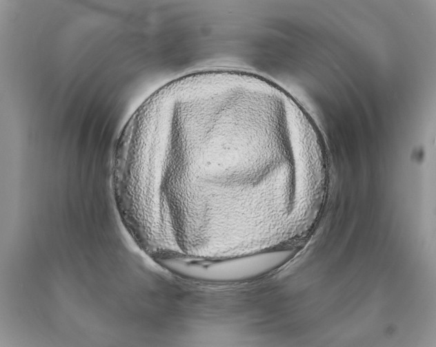 X0000089961390200707271852