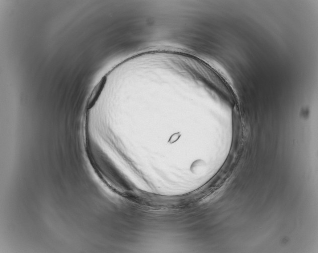 X0000089961391200707271852