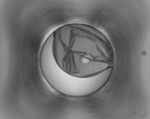 X0000089961392200707271852