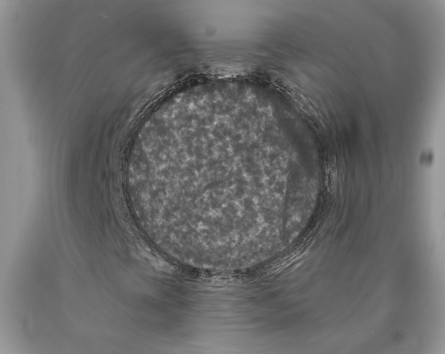 X0000089961393200707271851