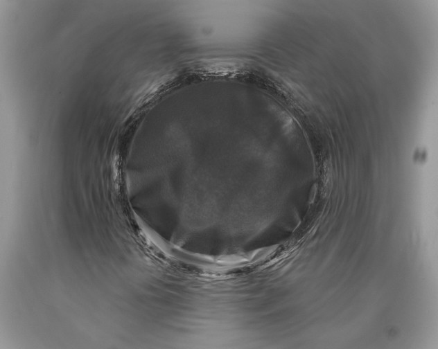 X0000089961394200707271851