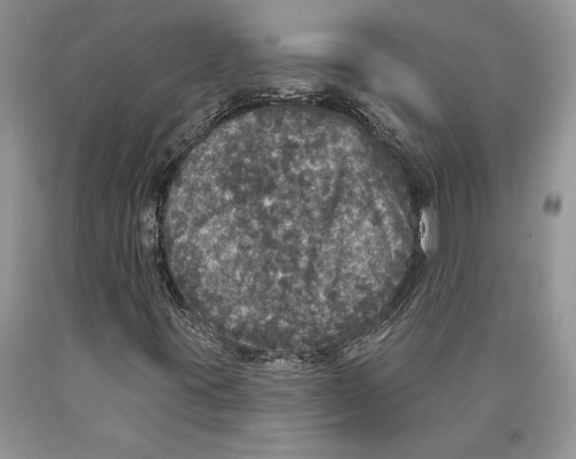 X0000089961395200707271851