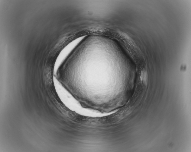 X0000089961396200707271851