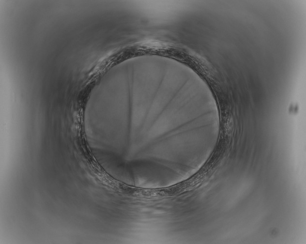 X0000089961397200707271851