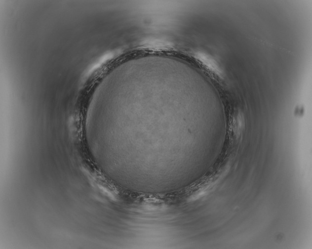 X0000089961398200707271851