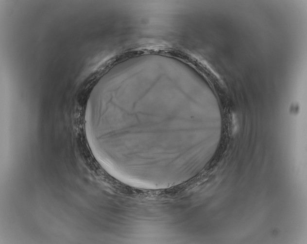 X0000089961399200707271851