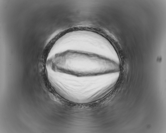 X0000089961400200707271851