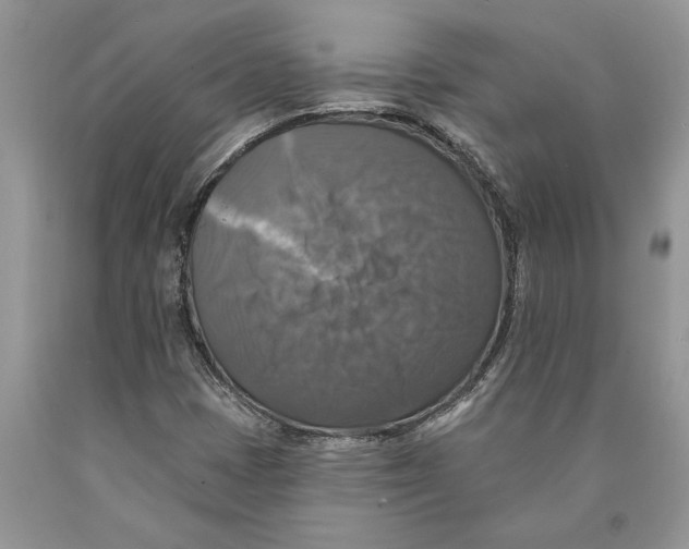 X0000089961401200707271851