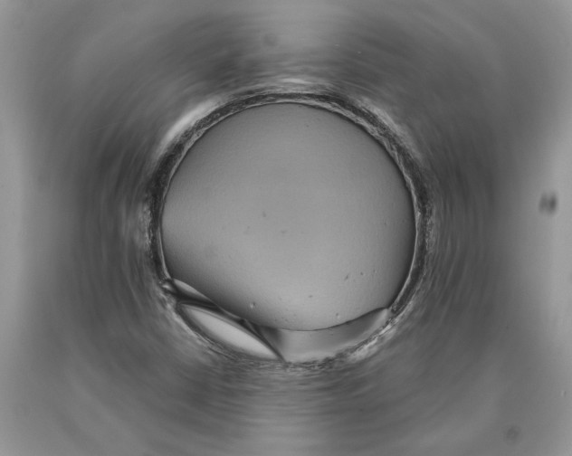 X0000089961402200707271851