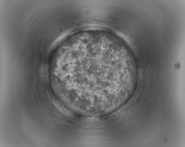 X0000089961403200707271851