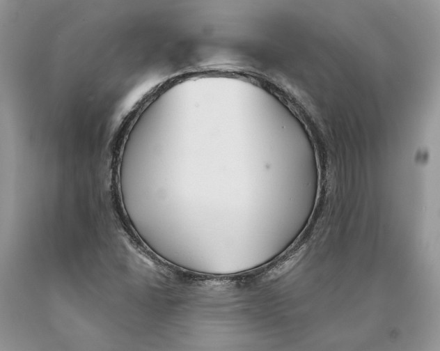 X0000089961406200707271851