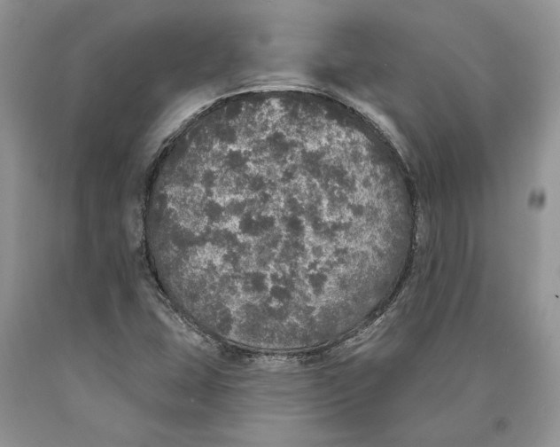 X0000089961407200707271851