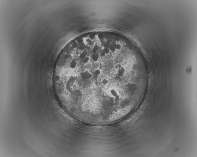 X0000089961409200707271851