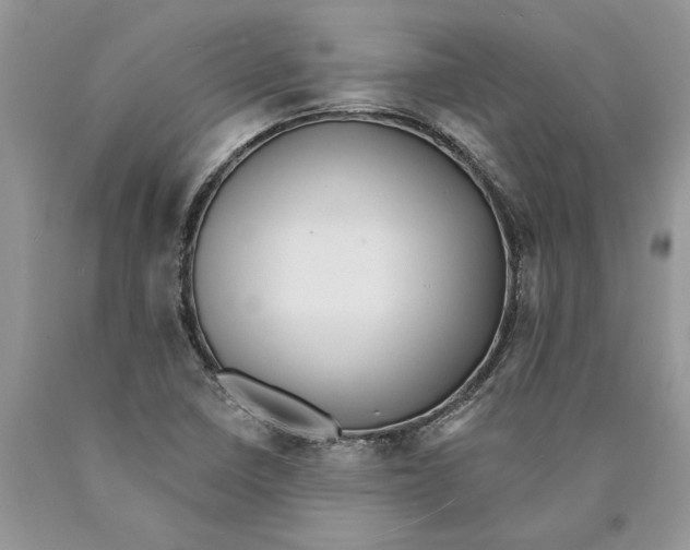 X0000089961410200707271851