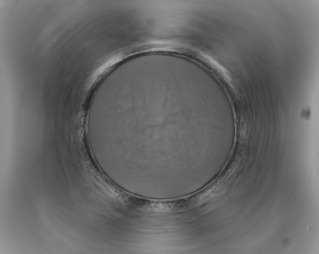 X0000089961411200707271851