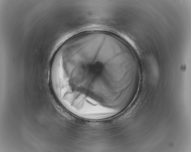 X0000089961413200707271851