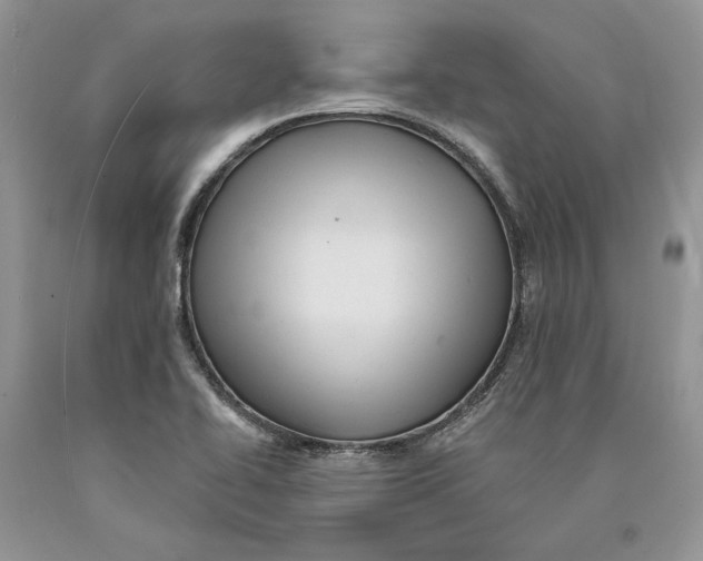 X0000089961414200707271852