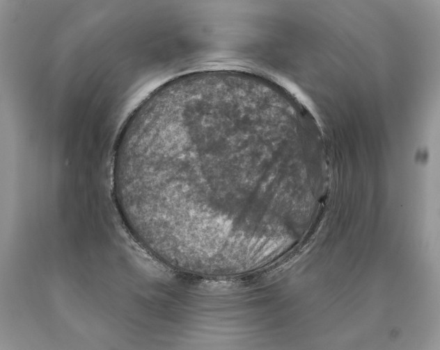 X0000089961415200707271852