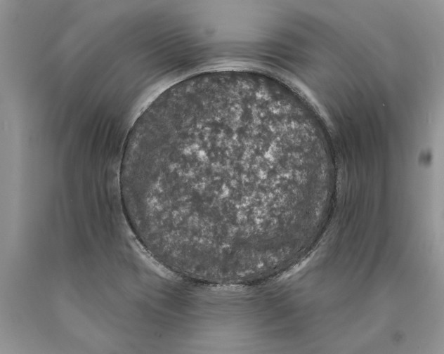 X0000089961417200707271852