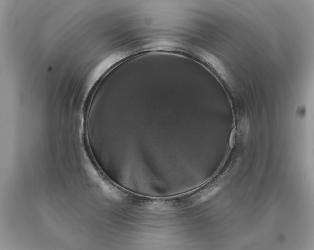 X0000089961418200707271852