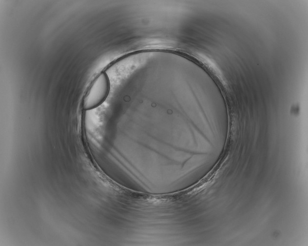 X0000089961419200707271852