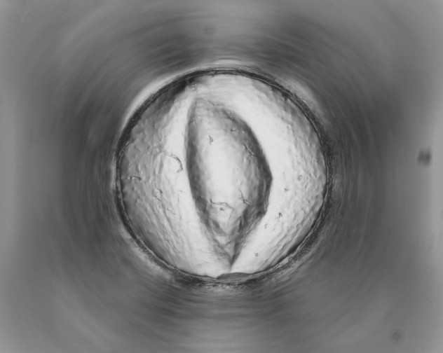 X0000089961420200707271852