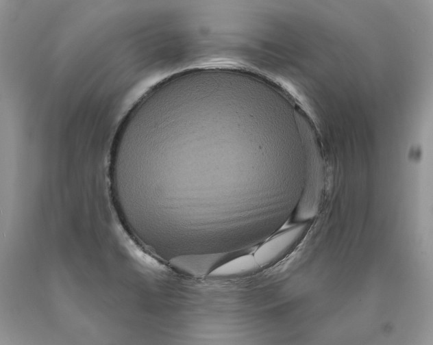 X0000089961422200707271852