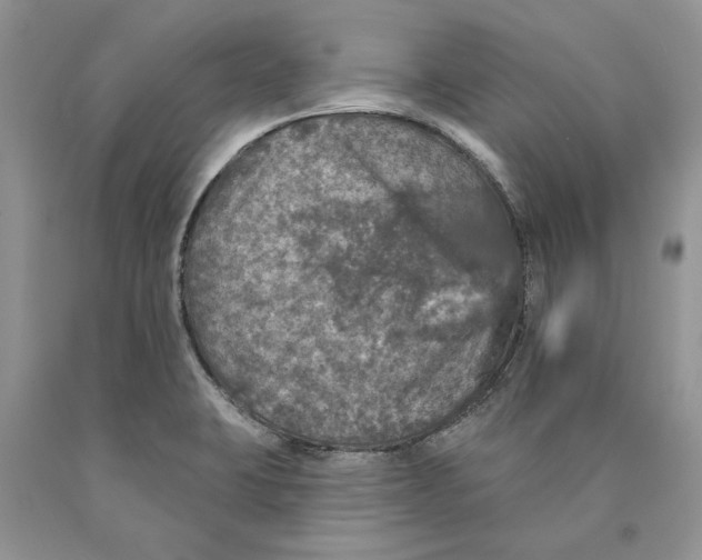 X0000089961423200707271852