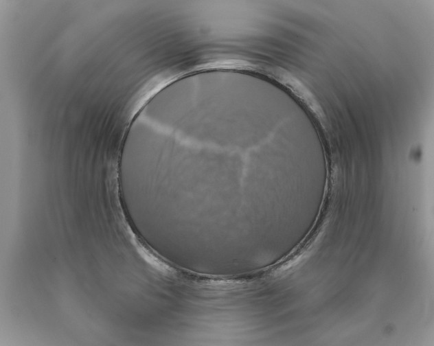 X0000089961425200707271852