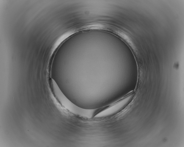 X0000089961426200707271852