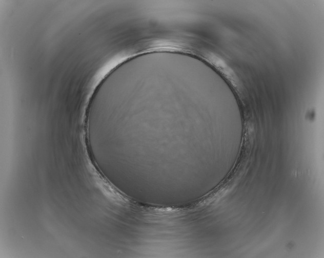 X0000089961427200707271852