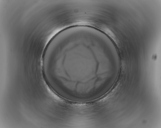 X0000089961428200707271852