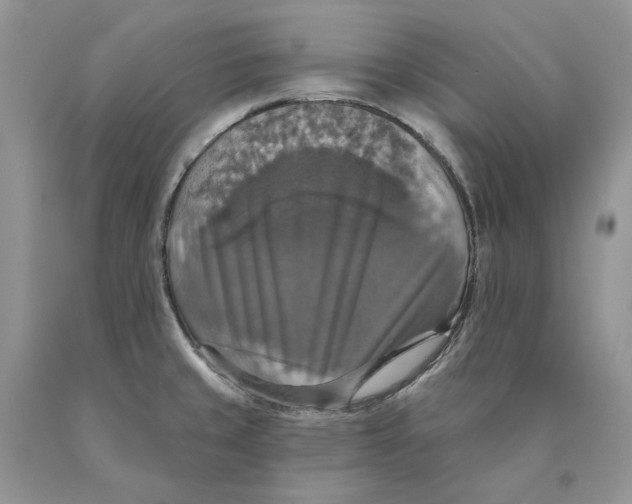 X0000089961429200707271852