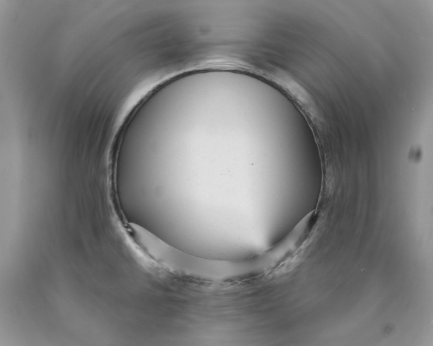 X0000089961430200707271852