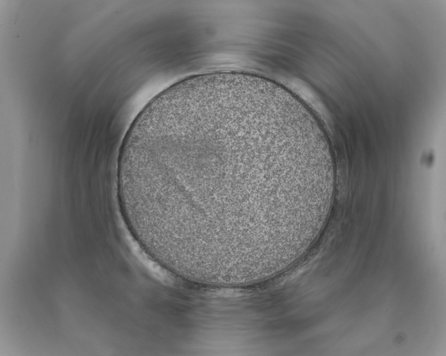 X0000089961431200707271852