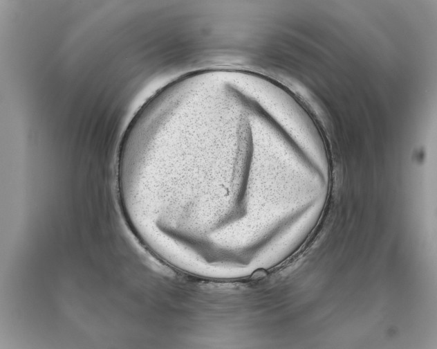 X0000089961432200707271852