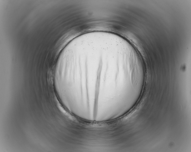 X0000089961433200707271852