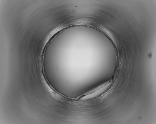 X0000089961434200707271852