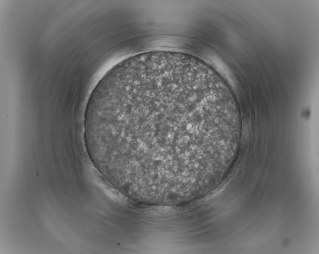 X0000089961435200707271852