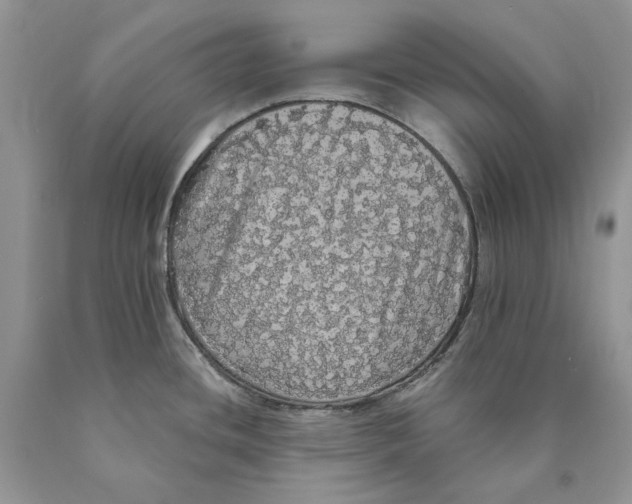 X0000089961436200707271852