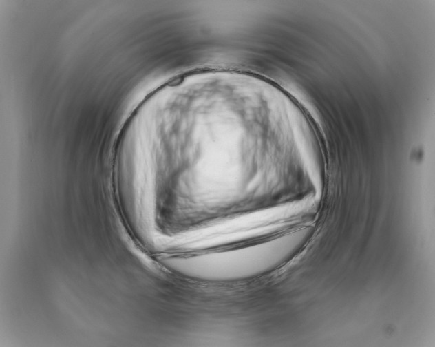 X0000089961437200707271852