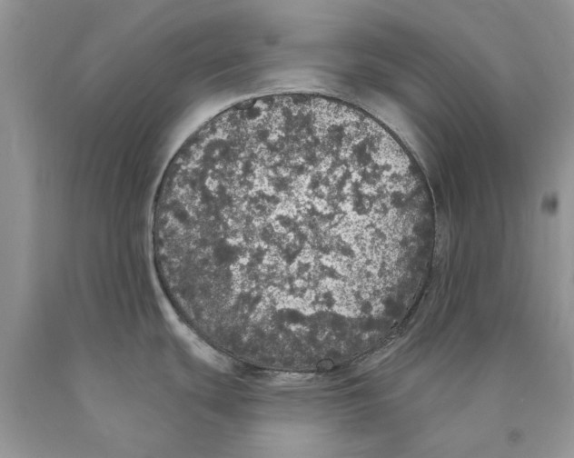 X0000089961439200707271852