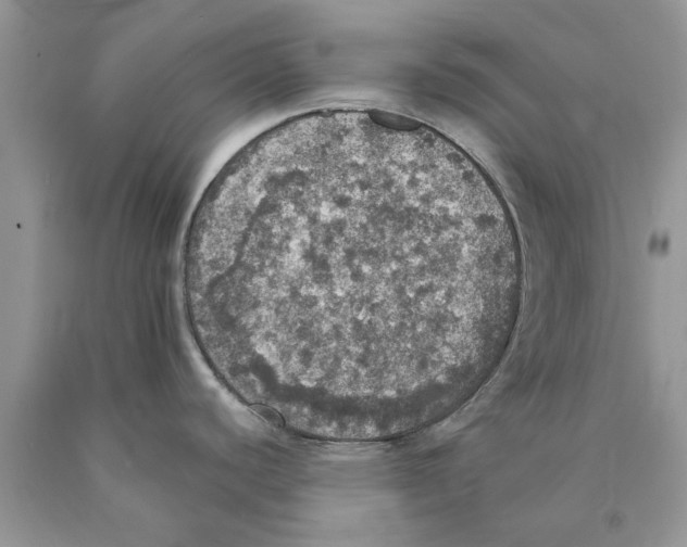 X0000089961440200707271852