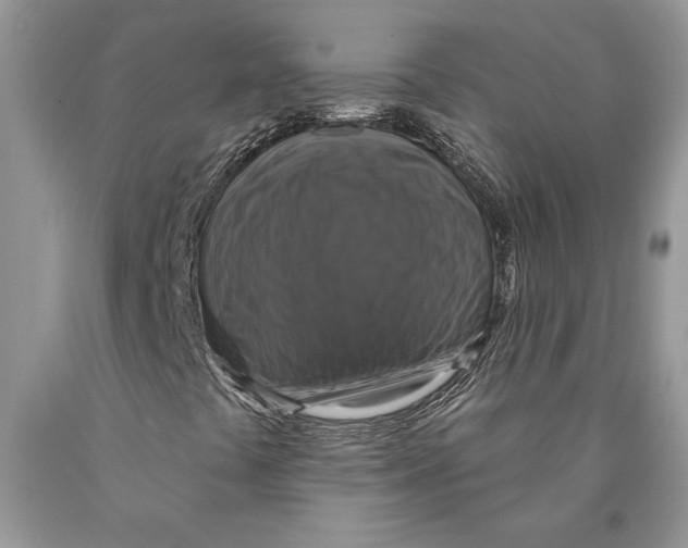 X0000089961441200707271851