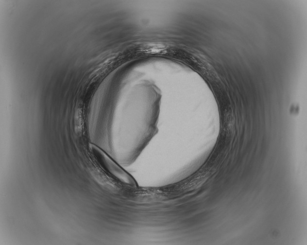 X0000089961442200707271851