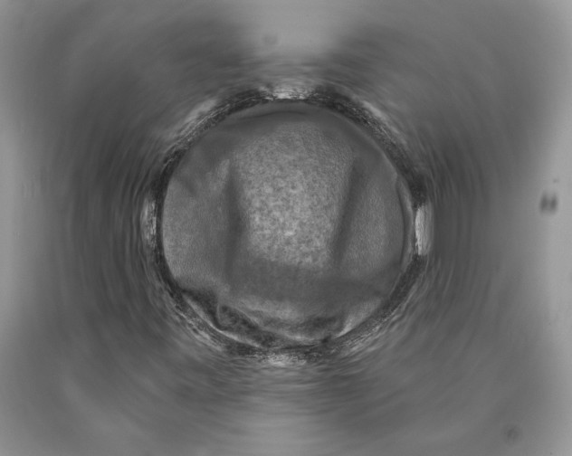 X0000089961443200707271851