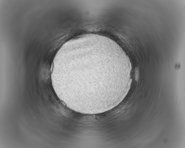 X0000089961444200707271851