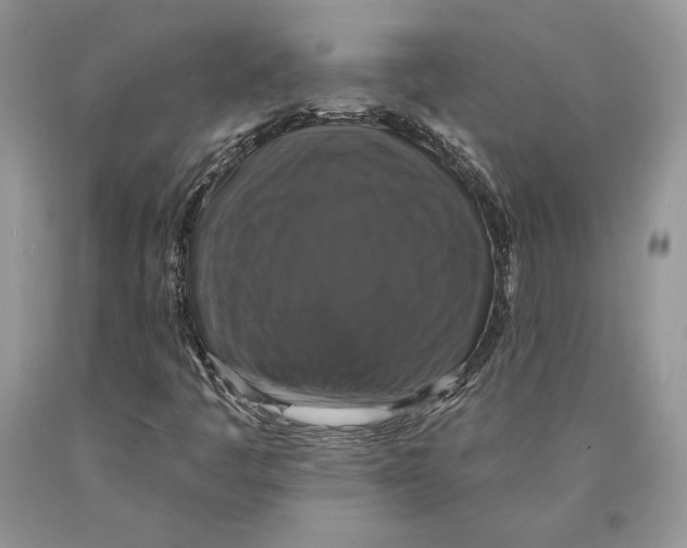 X0000089961445200707271851