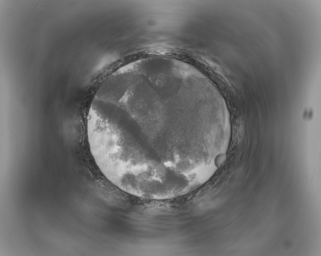 X0000089961446200707271851